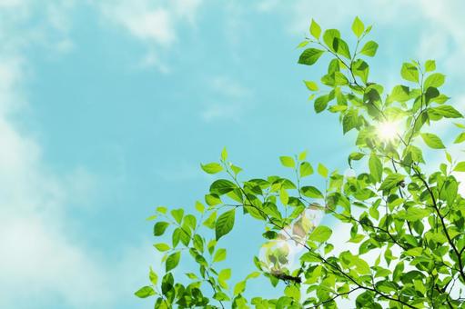 すごしやすい時期になりました。